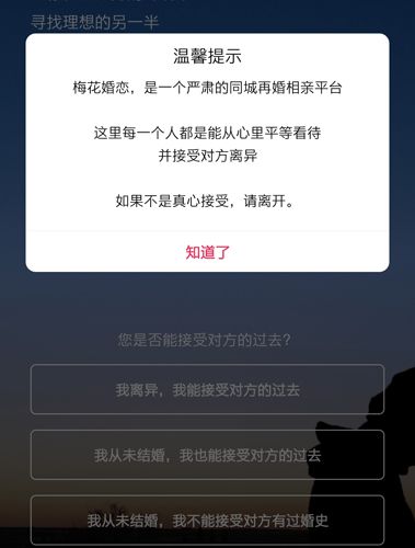 梅花再婚相亲app2