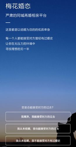 梅花再婚相亲app1