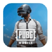 PUBG MOBILE正版官服