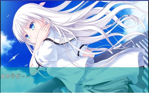 夏日口袋安卓汉化版